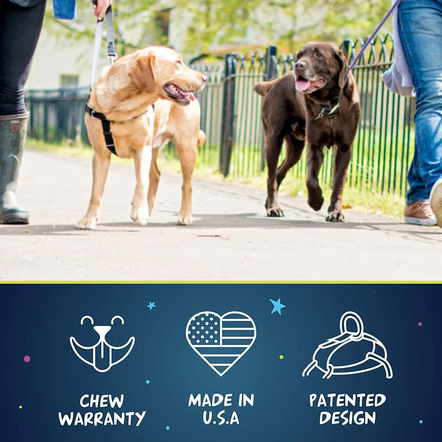 2 Hounds Design Freedom No Pull Dog Harness, Adjustable Harness, Easy Walking & Comfortable Control, Fits Small, Medium & Large Dogs, Solid Colors, Made in USA, 1" MD, Black
