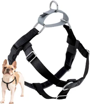 2 Hounds Design Freedom No Pull Dog Harness, Adjustable Harness, Easy Walking & Comfortable Control, Fits Small, Medium & Large Dogs, Solid Colors, Made in USA, 1" MD, Black