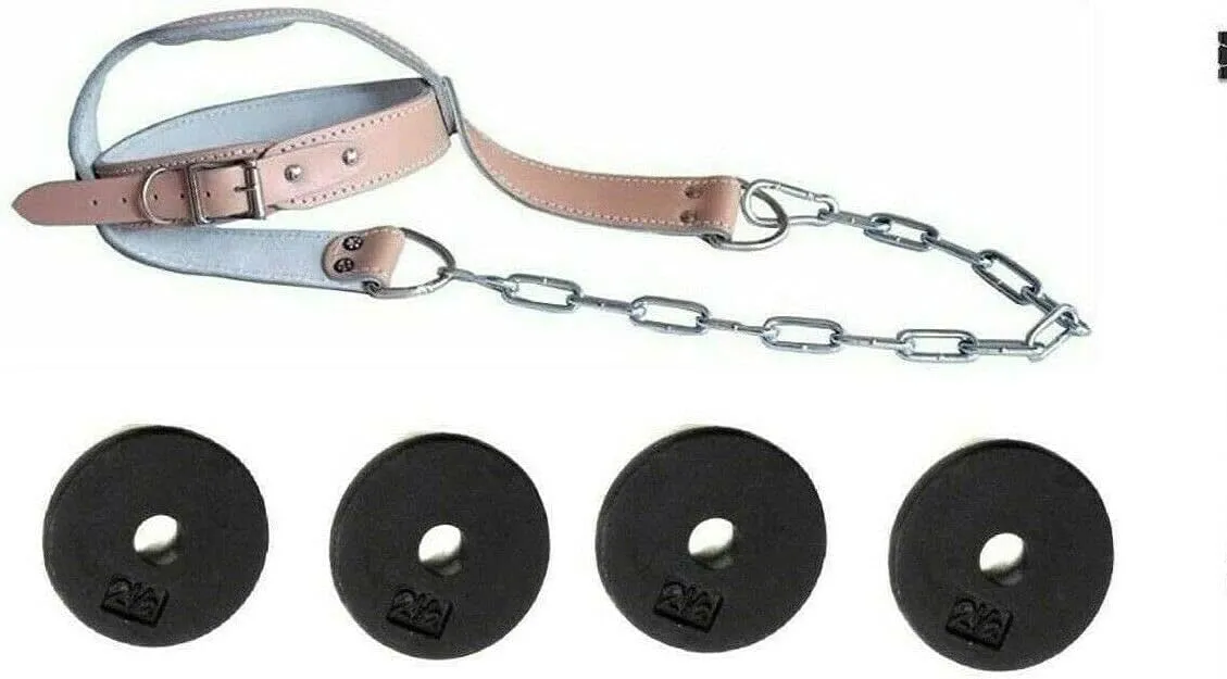 Ader Leather Padded Head Harness w/Chain and 10 lb Cast Iron 1'' Plates