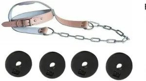 Ader Leather Padded Head Harness w/Chain and 10 lb Cast Iron 1'' Plates