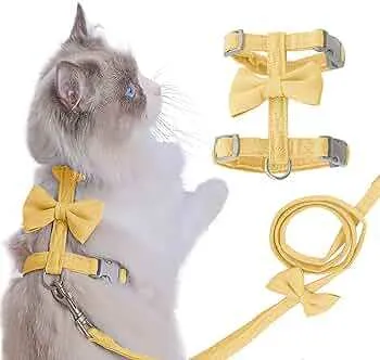 Adjustable Bee-Themed Cat Harness & Leash Set