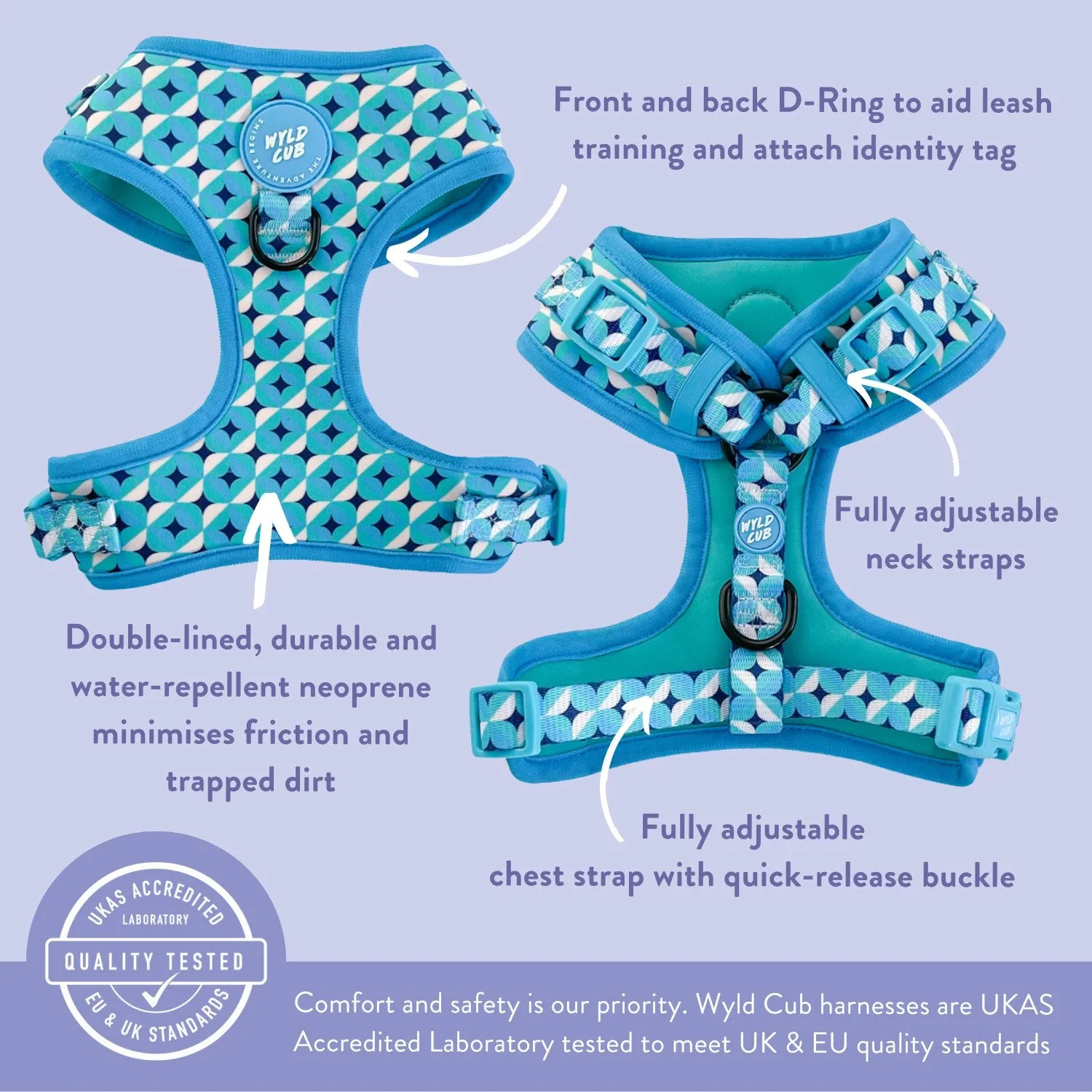 Adjustable Dog Harness: Knightsbridge Azure