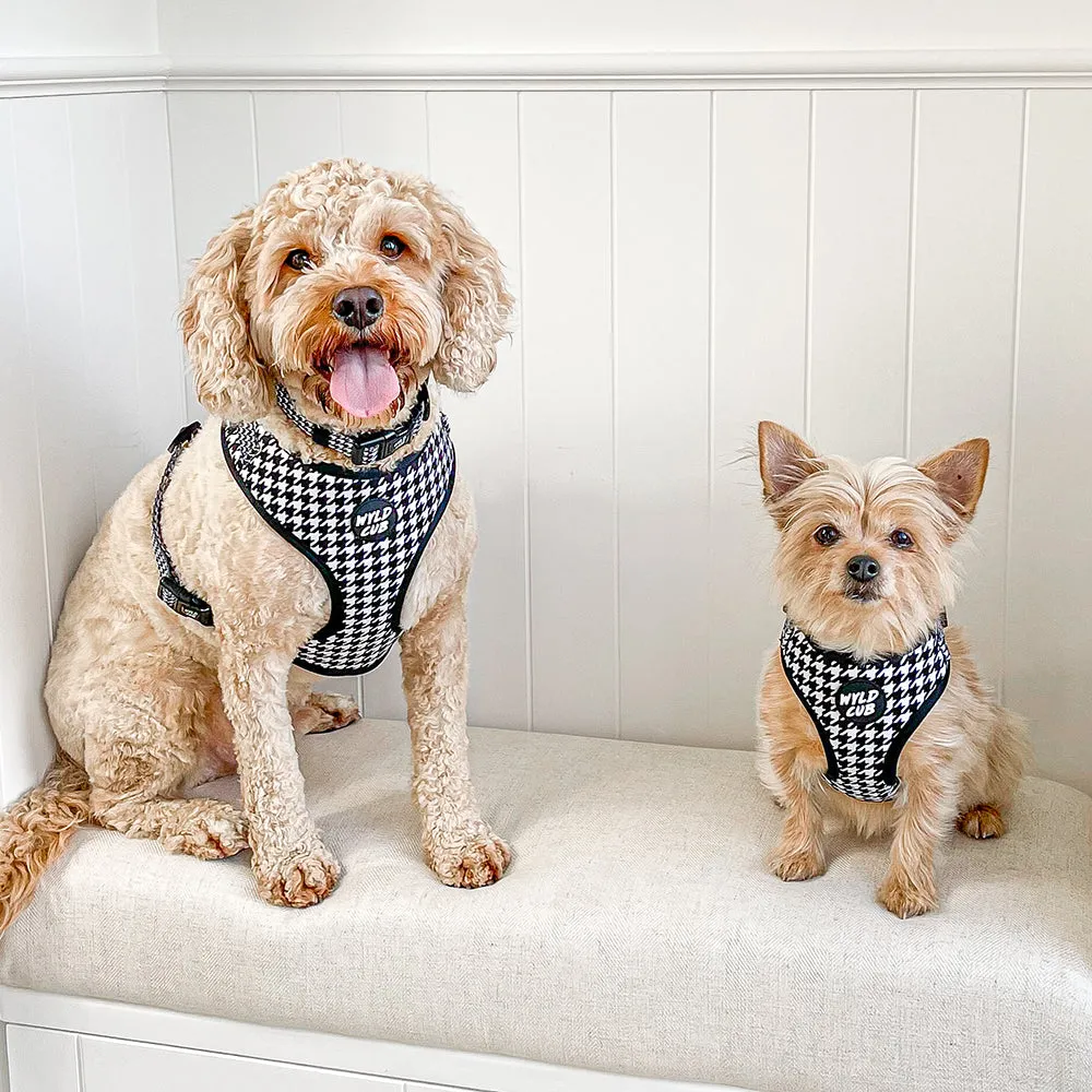 Adjustable Dog Harness: Knightsbridge Houndstooth