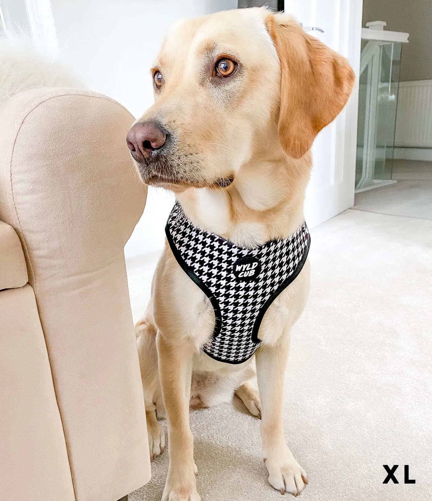 Adjustable Dog Harness: Knightsbridge Houndstooth