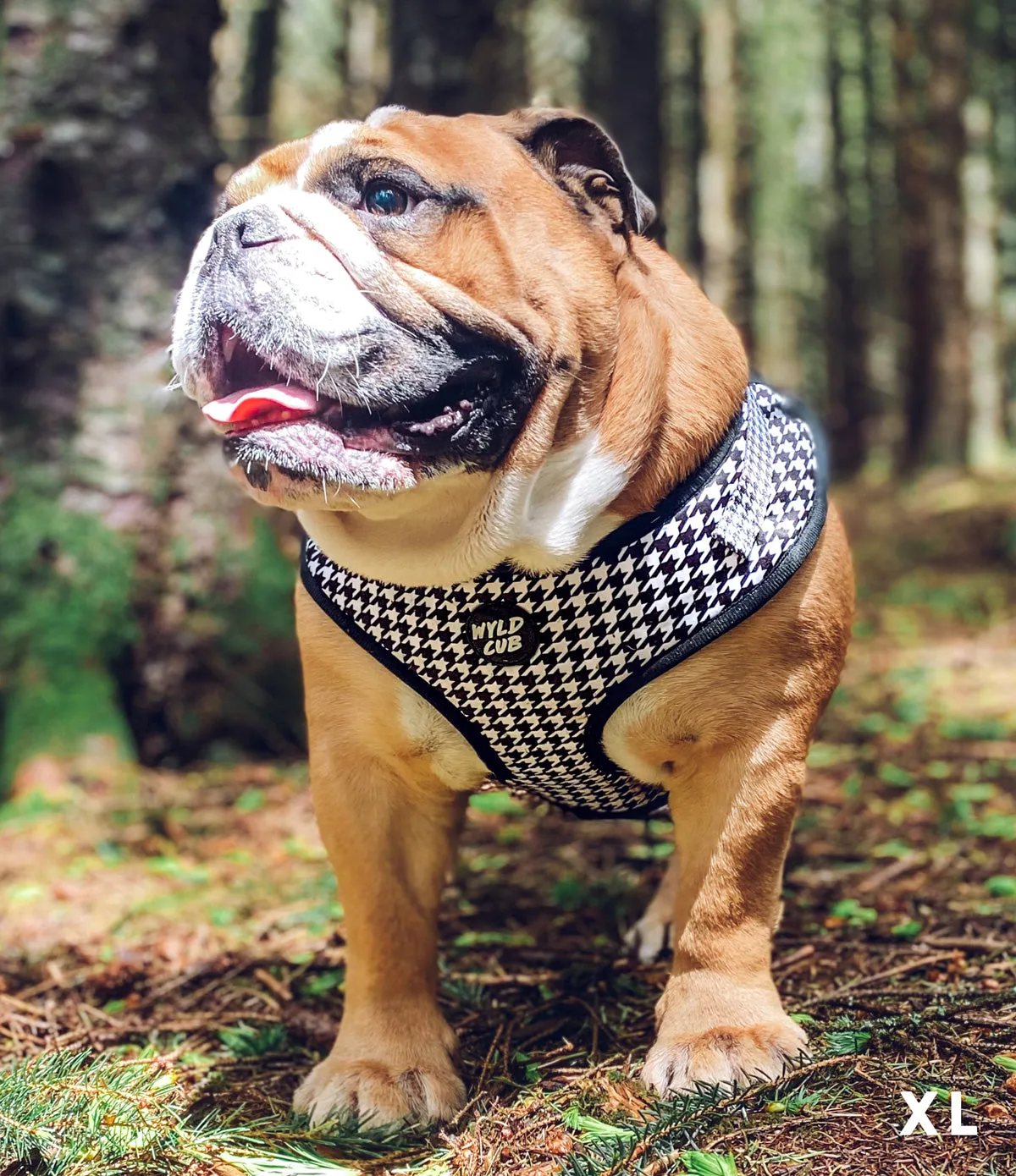 Adjustable Dog Harness: Knightsbridge Houndstooth