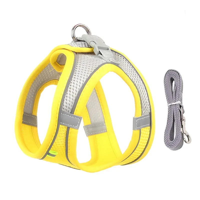 Adjustable Reflective Dog Harness & Leash Set – All-Season Comfort