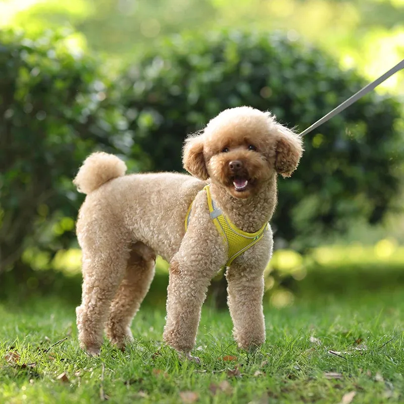 Adjustable Reflective Dog Harness & Leash Set – All-Season Comfort