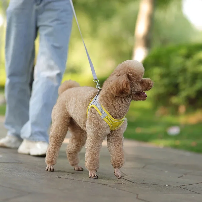Adjustable Reflective Dog Harness & Leash Set – All-Season Comfort