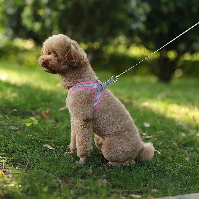 Adjustable Reflective Dog Harness & Leash Set – All-Season Comfort