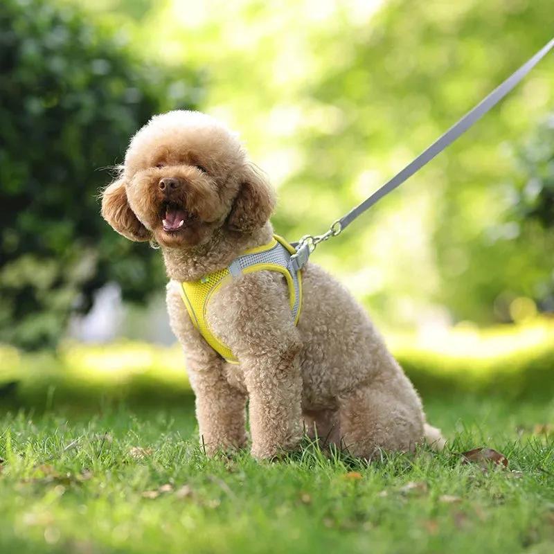 Adjustable Reflective Dog Harness & Leash Set – All-Season Comfort