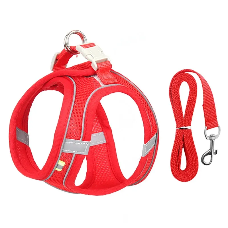 Adjustable Reflective Dog Harness & Leash Set – All-Season Comfort
