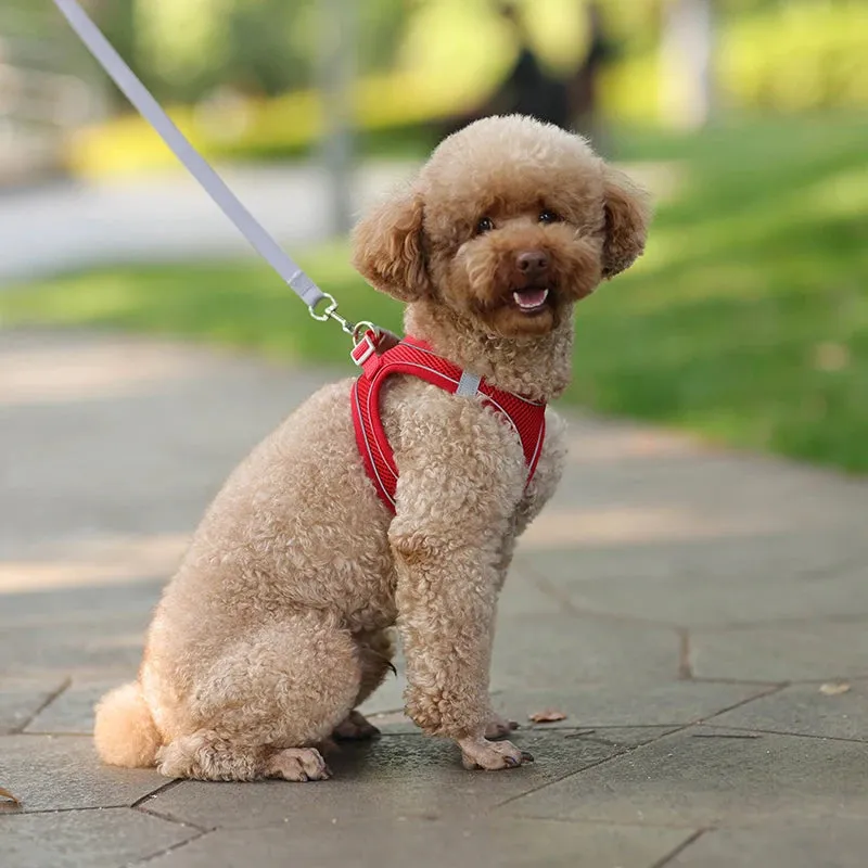 Adjustable Reflective Dog Harness & Leash Set – All-Season Comfort