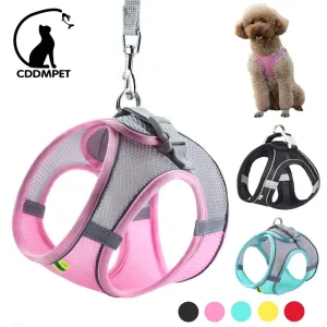 Adjustable Reflective Dog Harness & Leash Set – All-Season Comfort