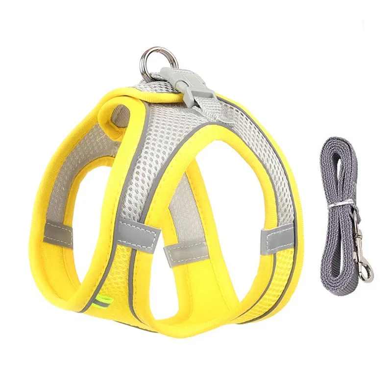 Adjustable Reflective Dog Harness & Leash Set – All-Season Comfort