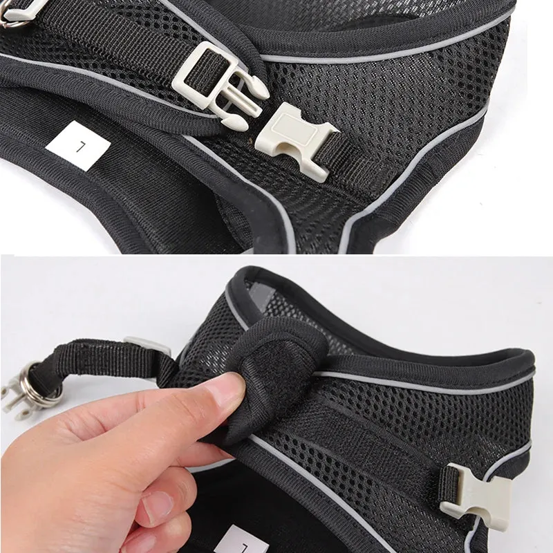Adjustable Reflective Dog Harness & Leash Set – All-Season Comfort