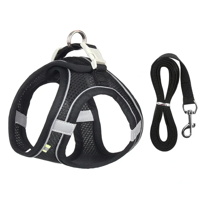 Adjustable Reflective Dog Harness & Leash Set – All-Season Comfort