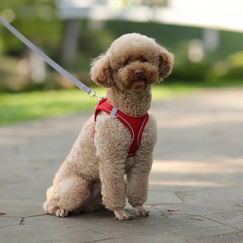 Adjustable Reflective Dog Harness & Leash Set – All-Season Comfort