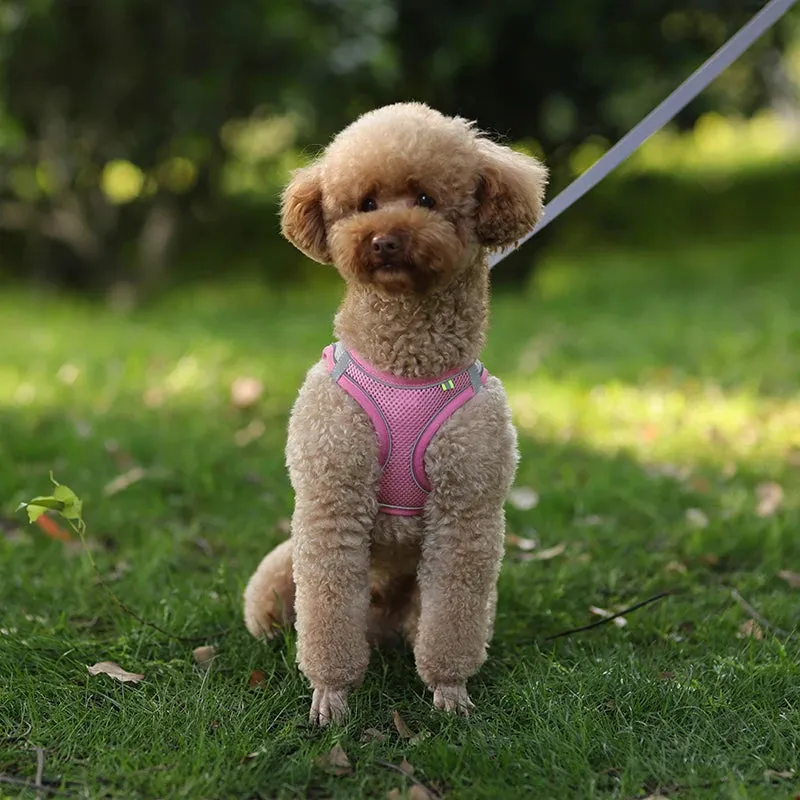 Adjustable Reflective Dog Harness & Leash Set – All-Season Comfort