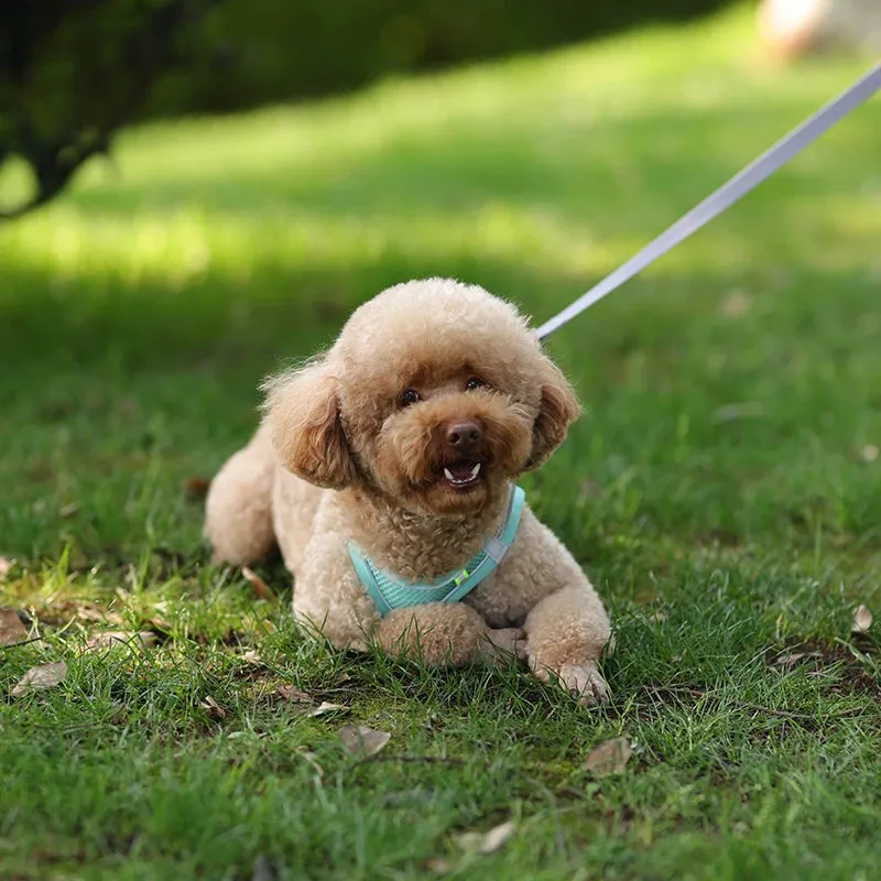 Adjustable Reflective Dog Harness & Leash Set – All-Season Comfort