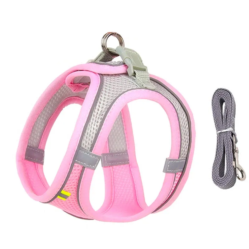 Adjustable Reflective Dog Harness & Leash Set – All-Season Comfort