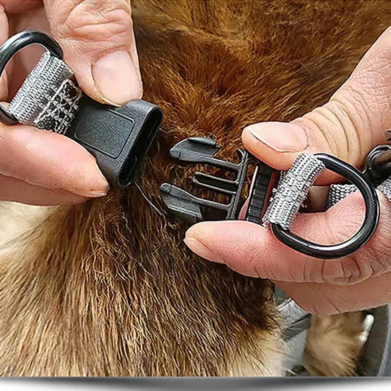 Adjustable Reflective Y-Harness Leash for Dogs