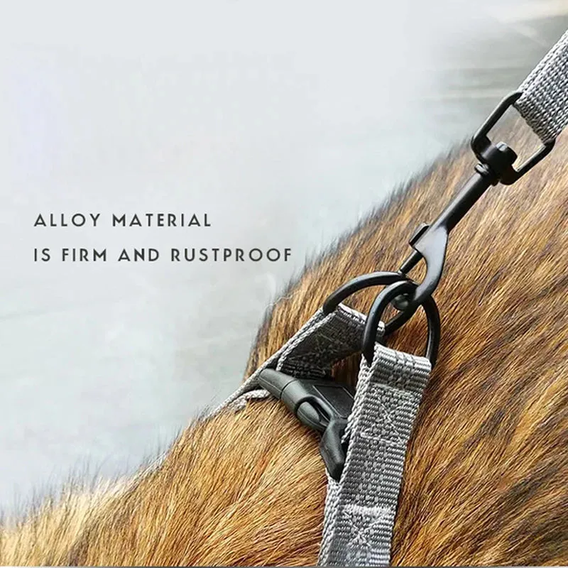 Adjustable Reflective Y-Harness Leash for Dogs