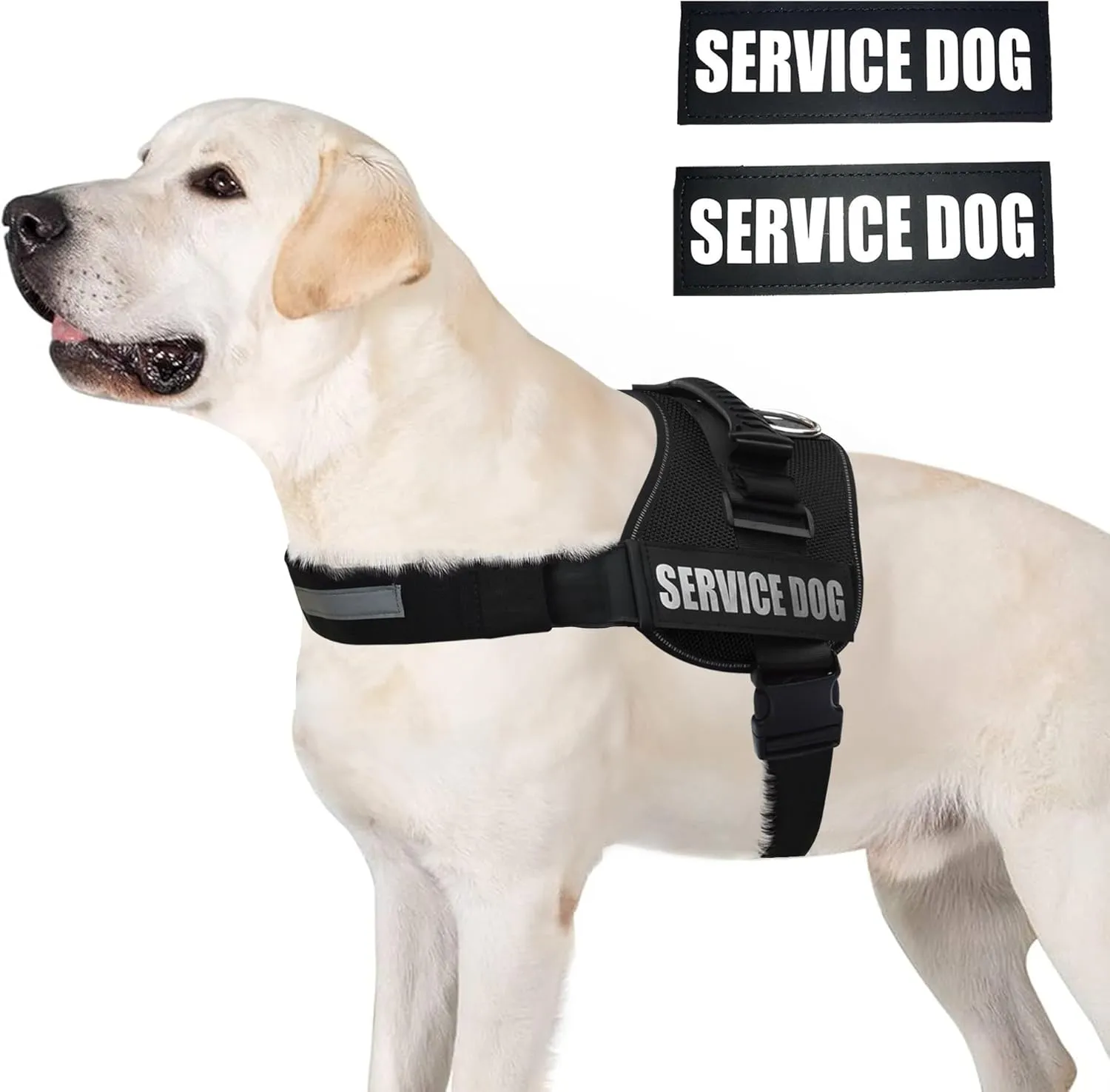 ALBCORP Reflective Service Dog Vest Harness – No-Pull Harness with Handle & Comfy Mesh Padding – Available in Sizes XXS-XL– with 2 Removable Hook & Loop Service Dog Patches, Large, Black