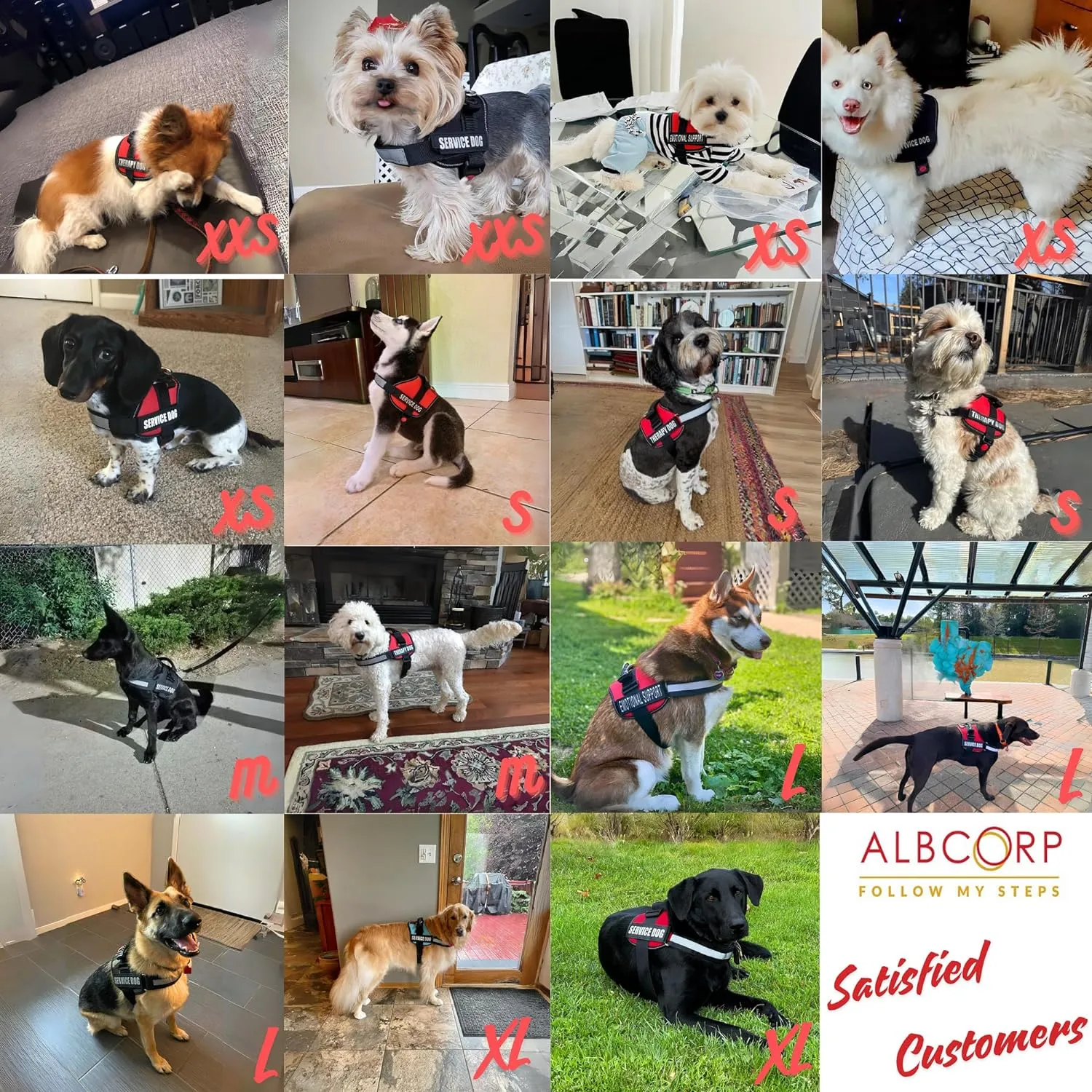 ALBCORP Reflective Service Dog Vest Harness – No-Pull Harness with Handle & Comfy Mesh Padding – Available in Sizes XXS-XL– with 2 Removable Hook & Loop Service Dog Patches, Large, Black