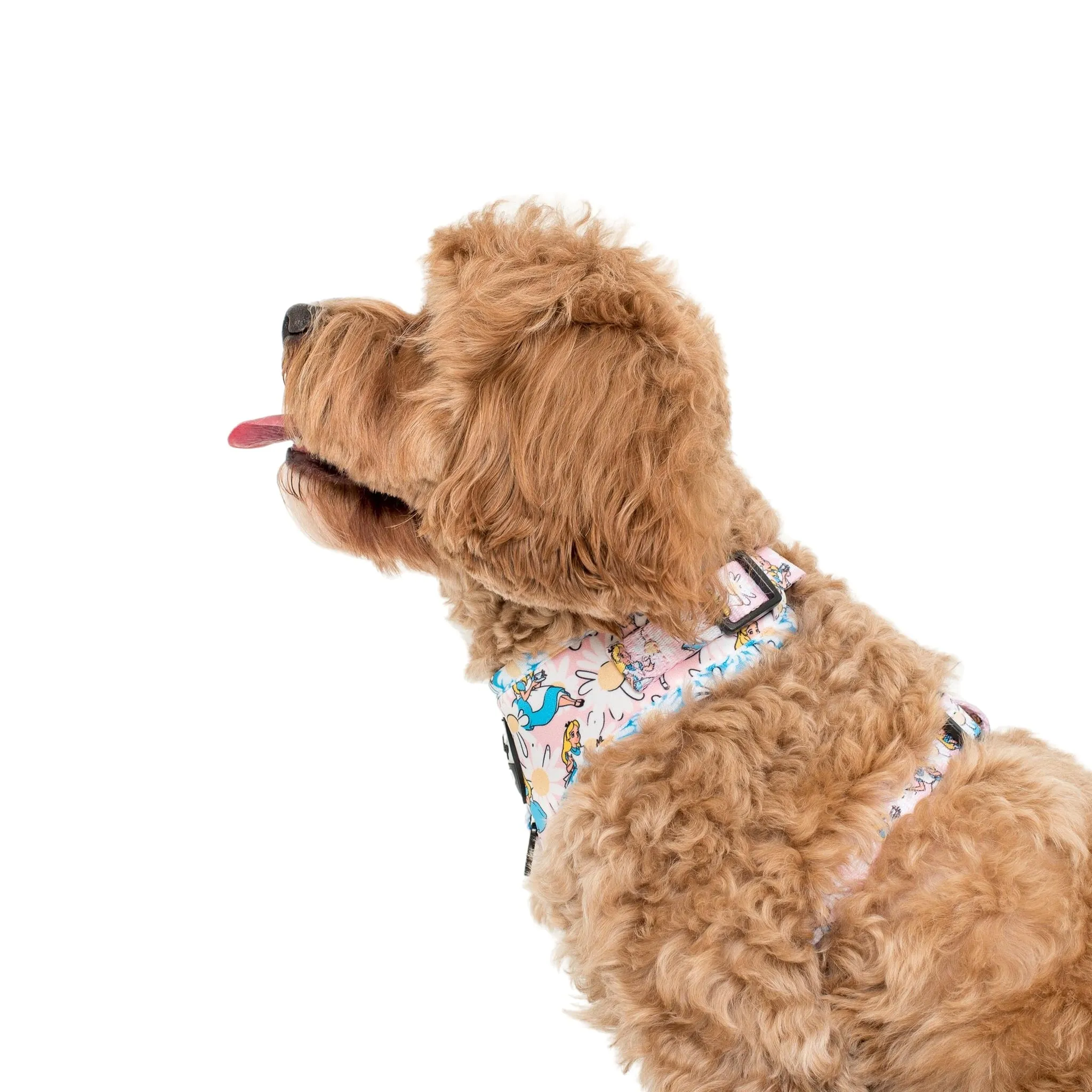 Alice in Wonderland Adjustable Harness