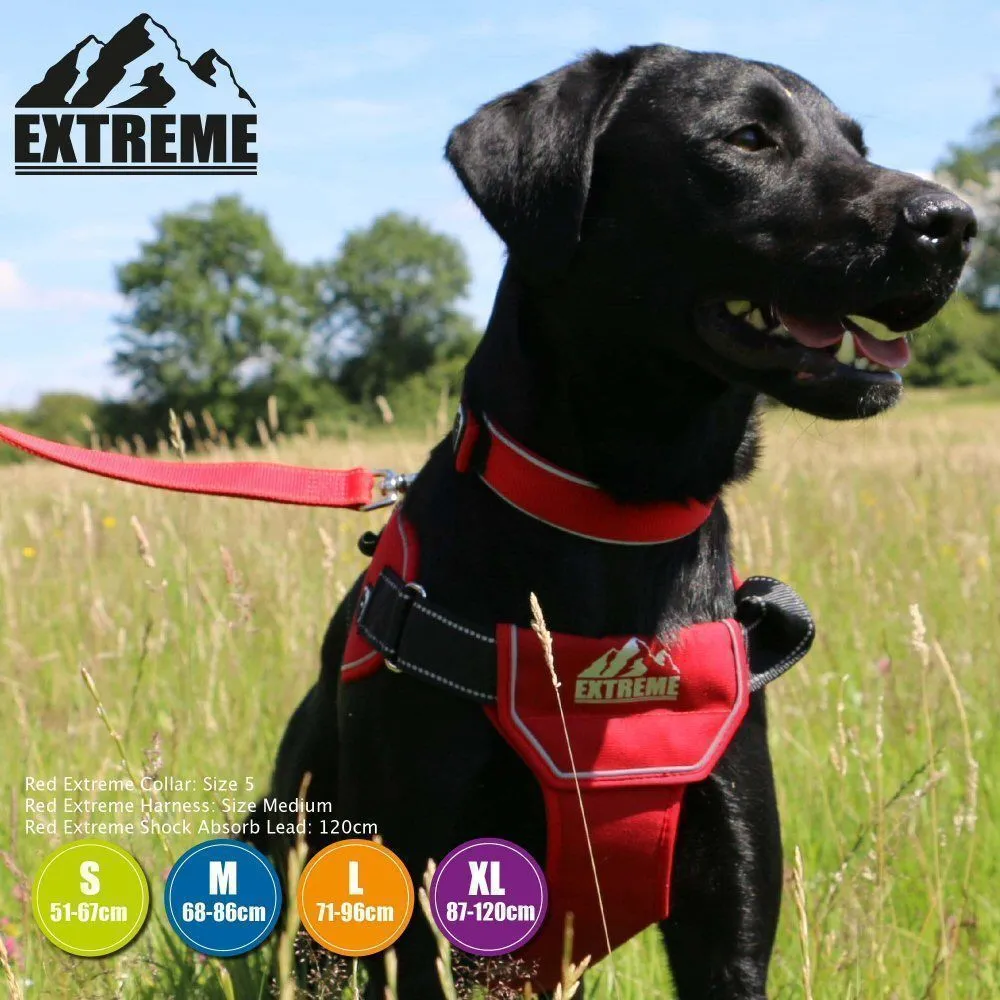 Ancol Extreme Red Harness