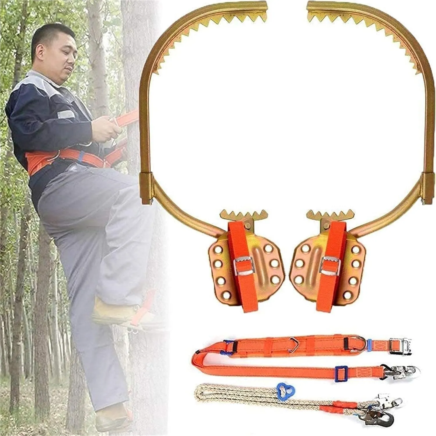 AYGJKIE Tree Climbing Tool, Adjustable Tree Climbing Tool Climbing Tree Shoes with Non-Slip Pedal for Hunting Observation, Jungle Survival(650model)