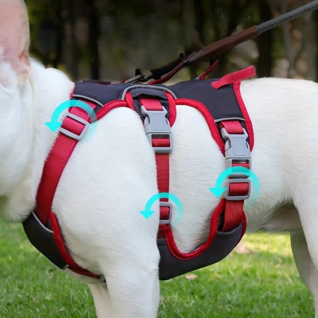 BarkVest™ | Anti-Trek Dog Harness with Reflective Features