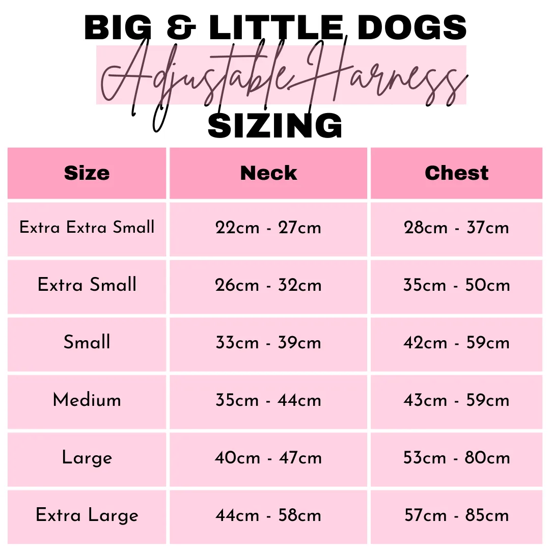 Big And Little Dogs-ADJUSTABLE DOG HARNESS: Blue Fairy Bread