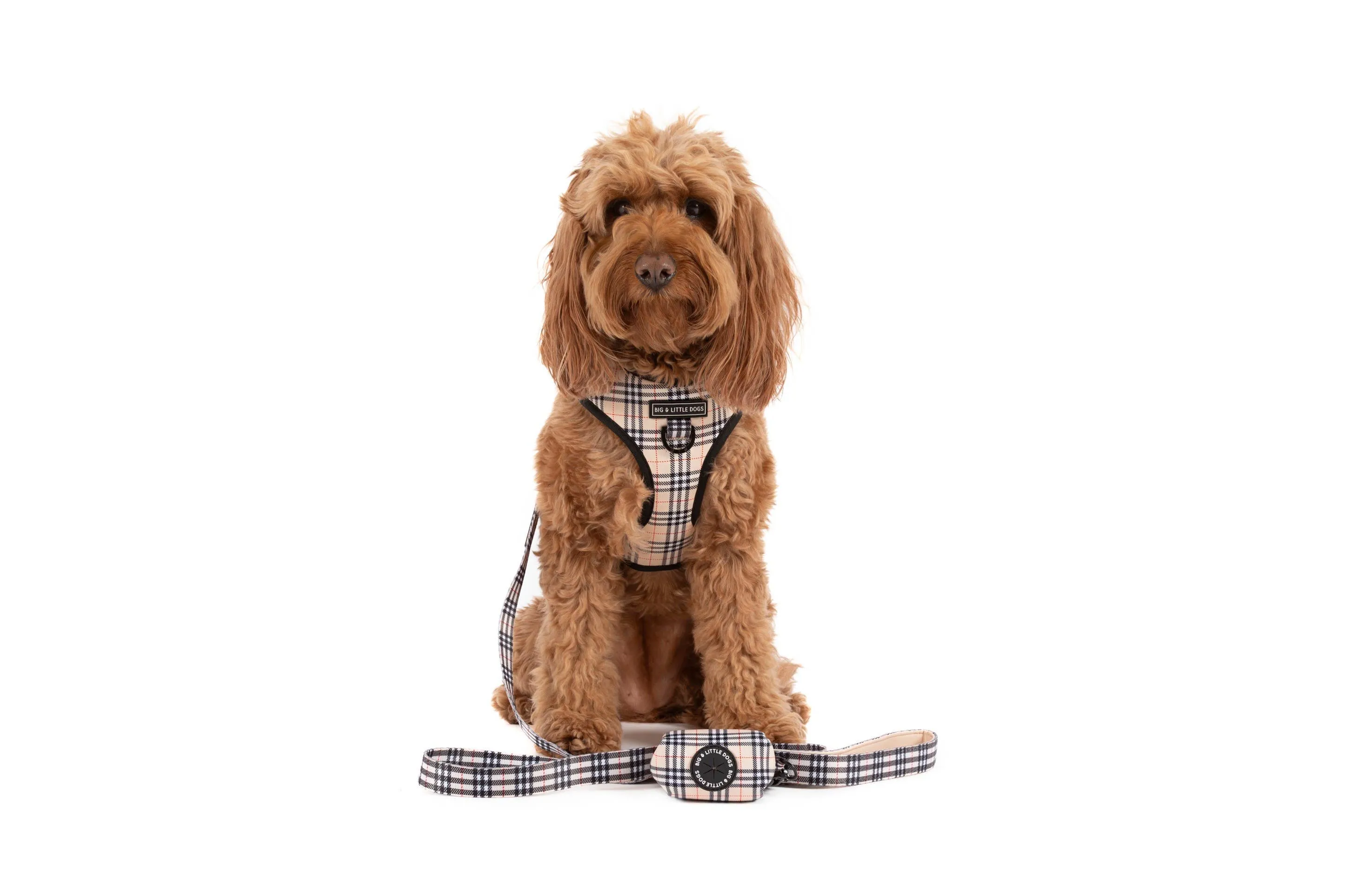 Big And Little Dogs-ADJUSTABLE DOG HARNESS: Nova Plaid