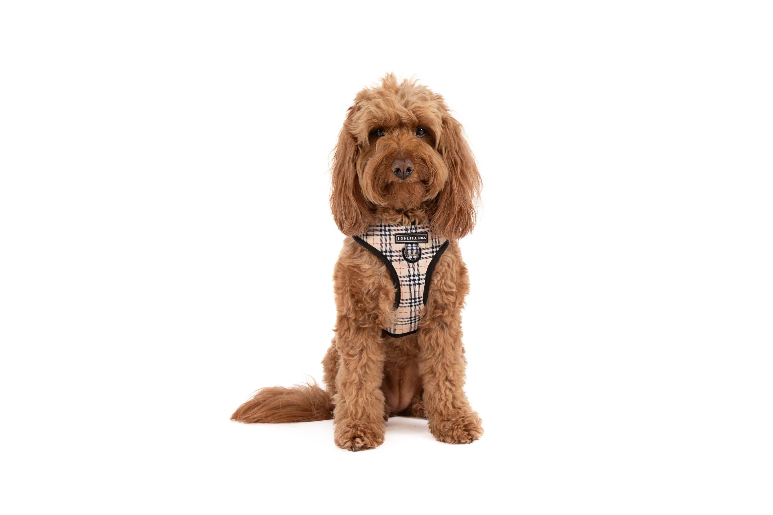 Big And Little Dogs-ADJUSTABLE DOG HARNESS: Nova Plaid