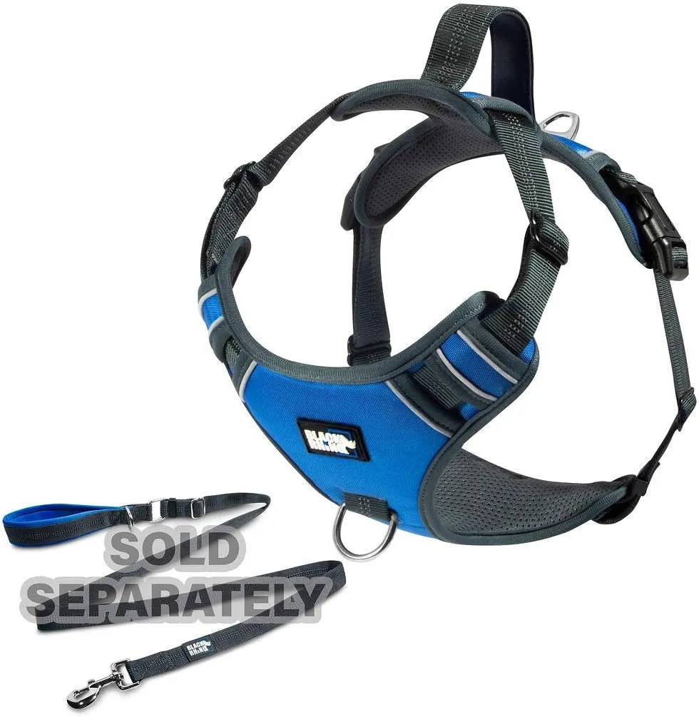 Black Rhino - The Comfort Dog Harness with Mesh Padded Vest for Small - Large Breeds | Adjustable | Reflective | 2 Leash Attachments on Chest & Back - Neoprene Padded Training Handle (Large, Blue/Gr)