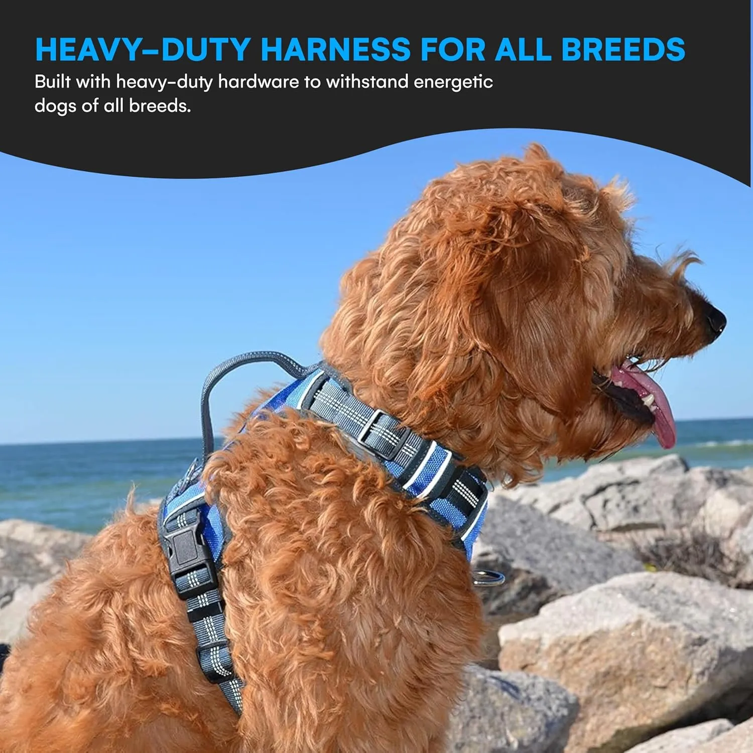 Black Rhino - The Comfort Dog Harness with Mesh Padded Vest for Small - Large Breeds | Adjustable | Reflective | 2 Leash Attachments on Chest & Back - Neoprene Padded Training Handle (Large, Blue/Gr)