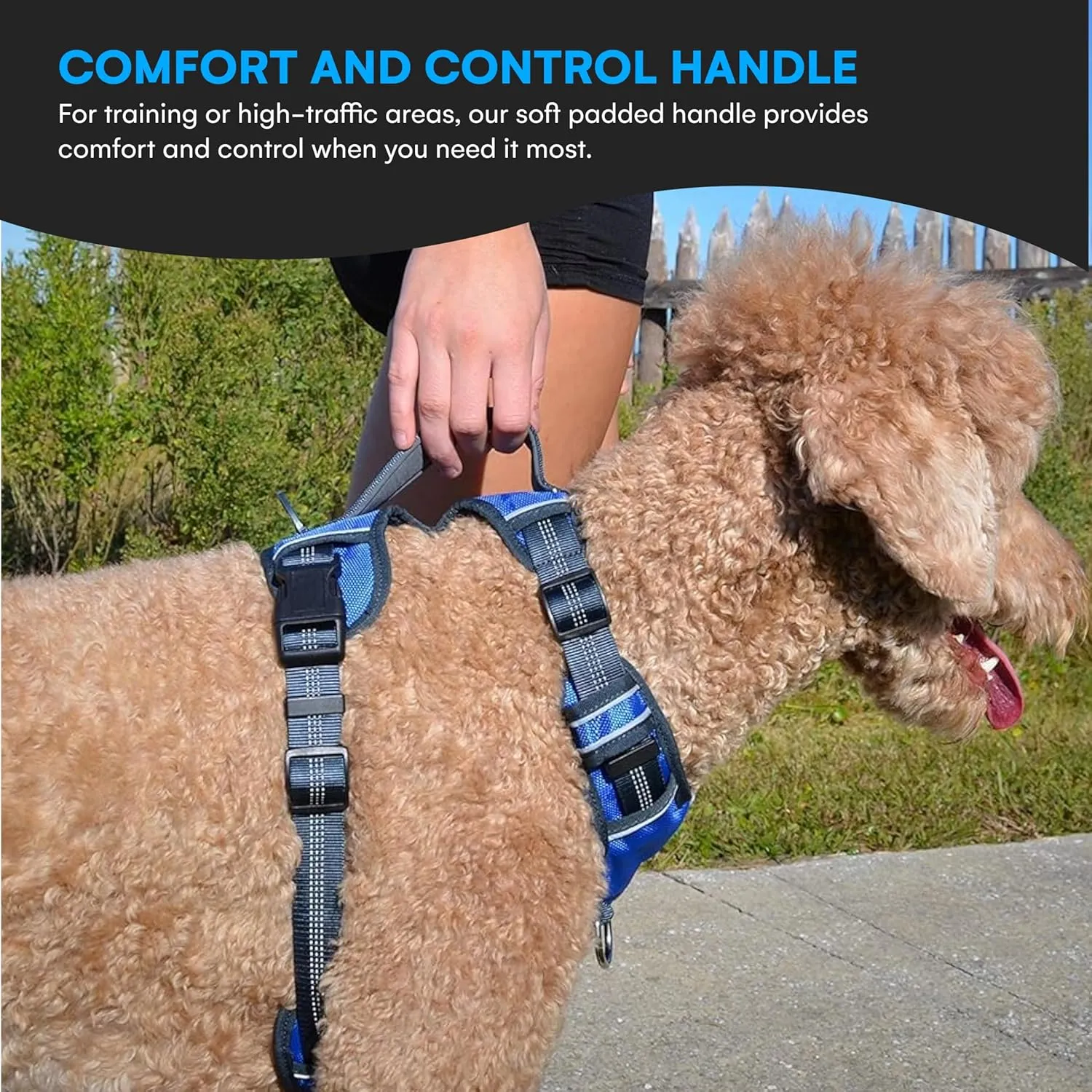 Black Rhino - The Comfort Dog Harness with Mesh Padded Vest for Small - Large Breeds | Adjustable | Reflective | 2 Leash Attachments on Chest & Back - Neoprene Padded Training Handle (Large, Blue/Gr)