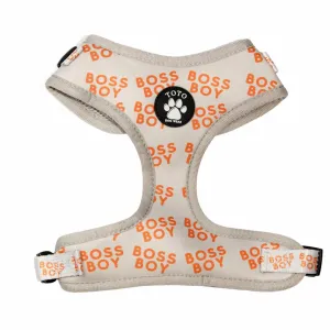 Boss Boy Harness