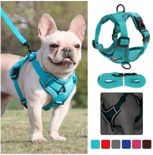 Breathable & Padded French Bulldog Harness and Leash