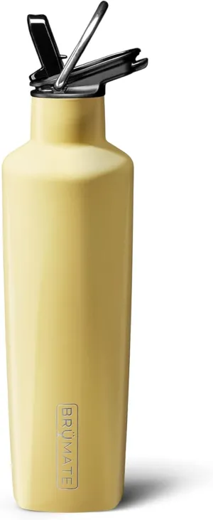 BrüMate ReHydration Mini - 100% Leakproof 16oz Insulated Water Bottle with Straw - Stainless Steel Water Canteen (Daisy)