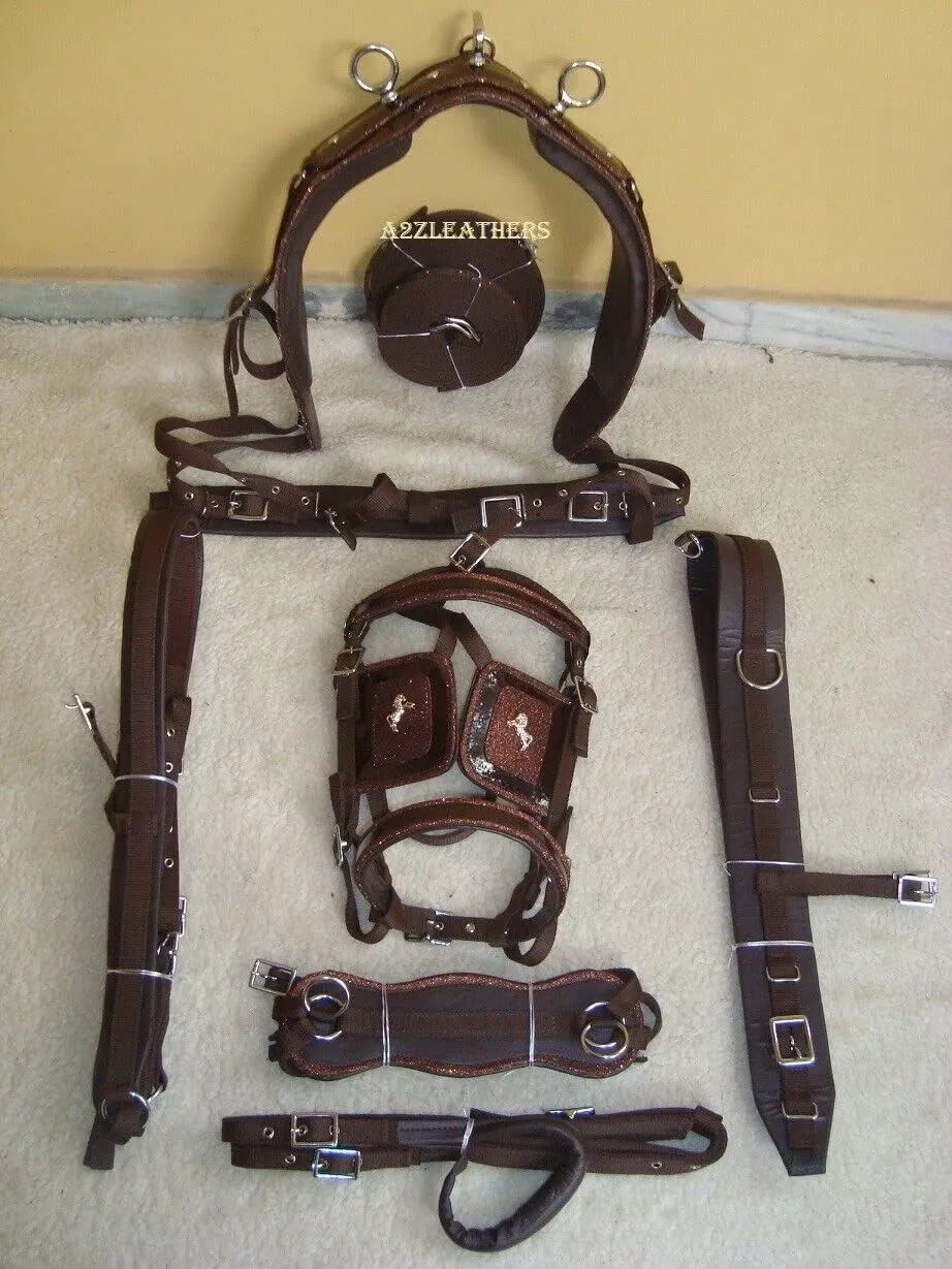 Brown Synthetic patent Nylon Driving harness With Designer patch work on all In 4 Size