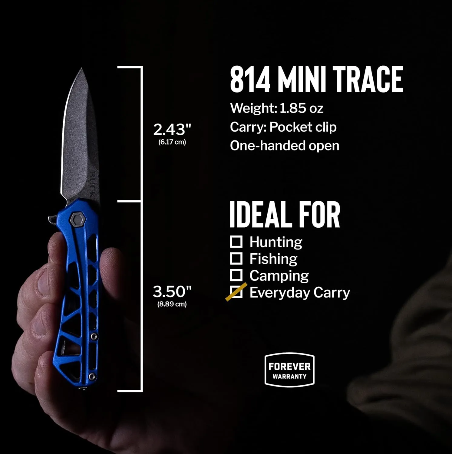 Buck Knives 814 Mini Trace Pocket Knife, Blue