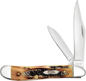 Case XX WR Pocket Knife Peanut 6.5 Bonestag Item #22303 (6.5220 SS) 2 7/8 inches Closed, Made In USA