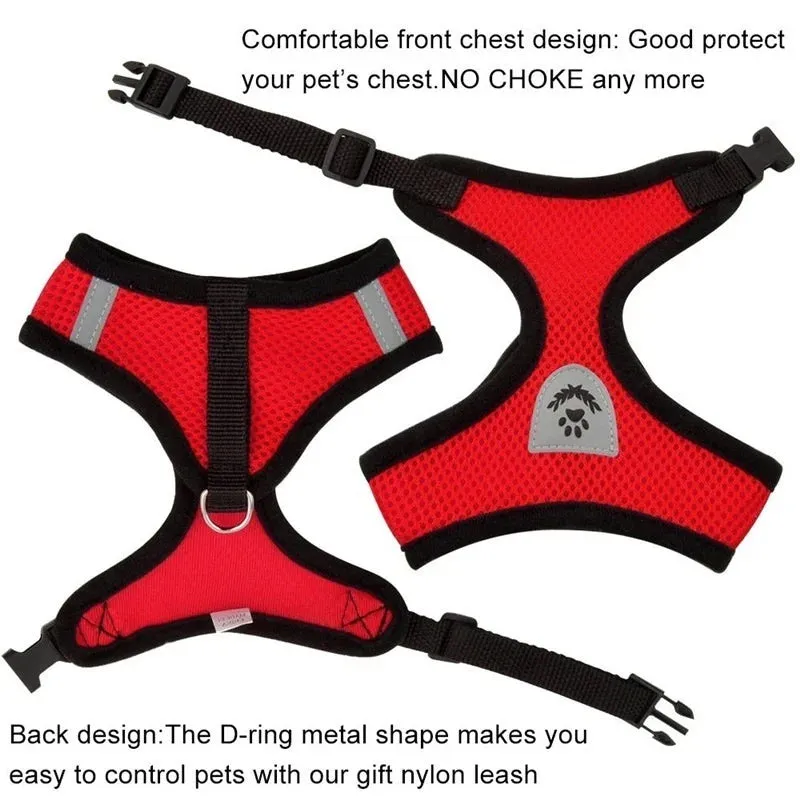 Cat/ Dog Harness with Adjustable Lead Leash-