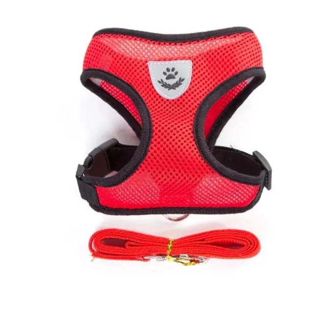 Cat/ Dog Harness with Adjustable Lead Leash-