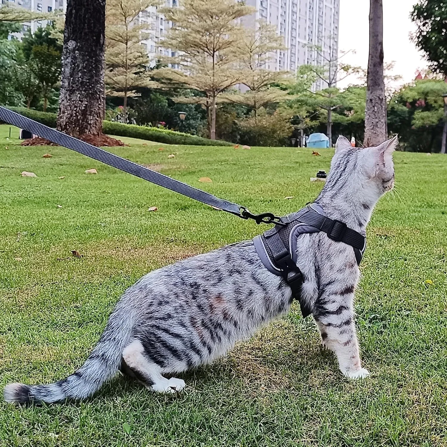 Cat Harness and Leash Set Escape Proof Tactical Large Kitten Harness Emotional Support Cat Vest, Grey, L