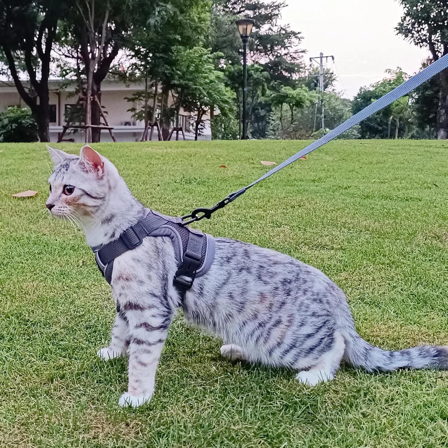 Cat Harness and Leash Set Escape Proof Tactical Large Kitten Harness Emotional Support Cat Vest, Grey, L