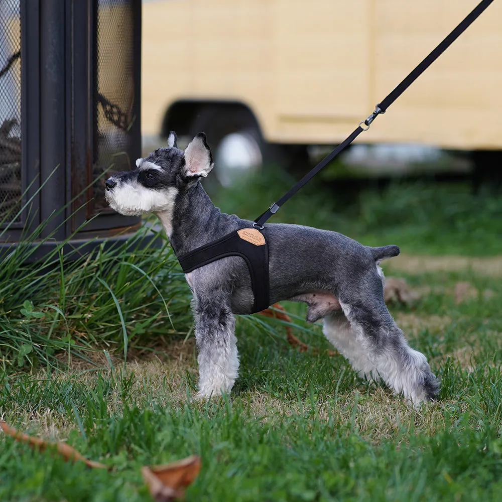 Charlie's Backyard Adjustable Easy Harness Black