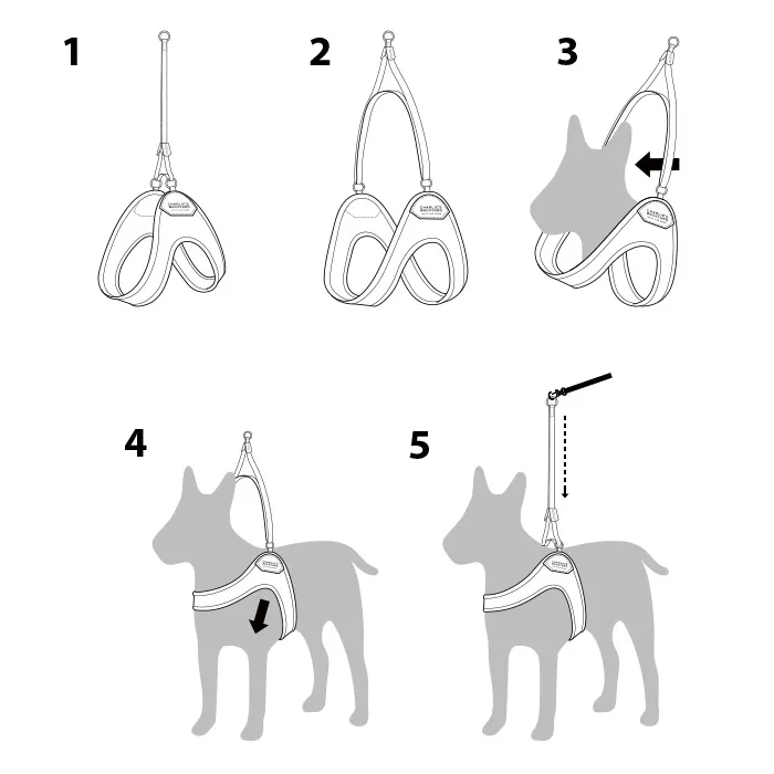Charlie's Backyard Adjustable Easy Harness Black